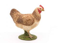 PAPO - POULE ROUSSE #51159